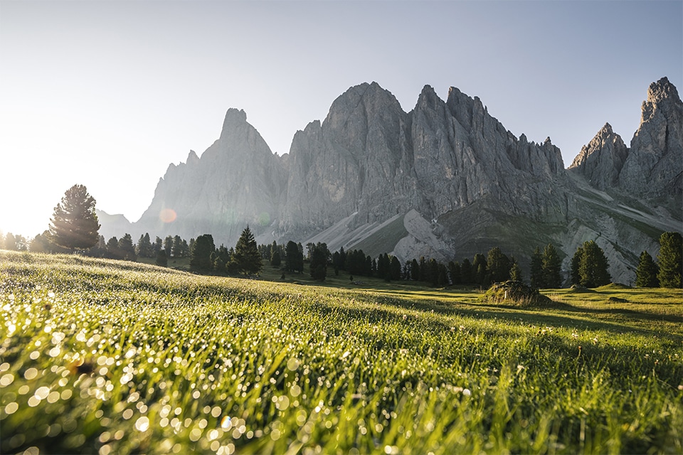 20 jaar Vitalpina® Hotels Südtirol 2